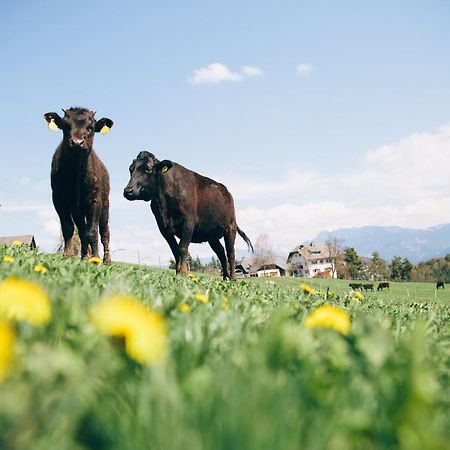 Alpin Farm Birke - Oberweidacherhof Collalbo Luaran gambar