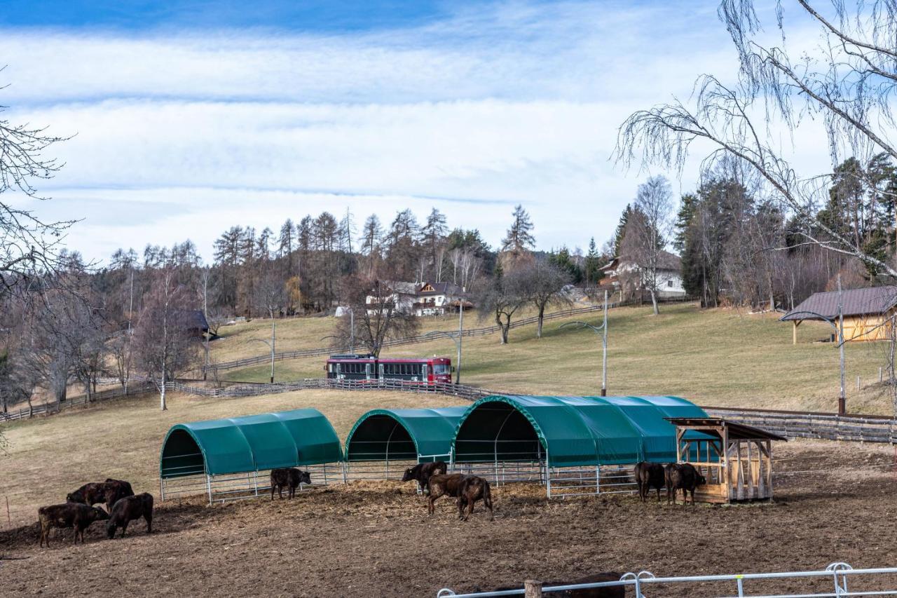 Alpin Farm Birke - Oberweidacherhof Collalbo Luaran gambar