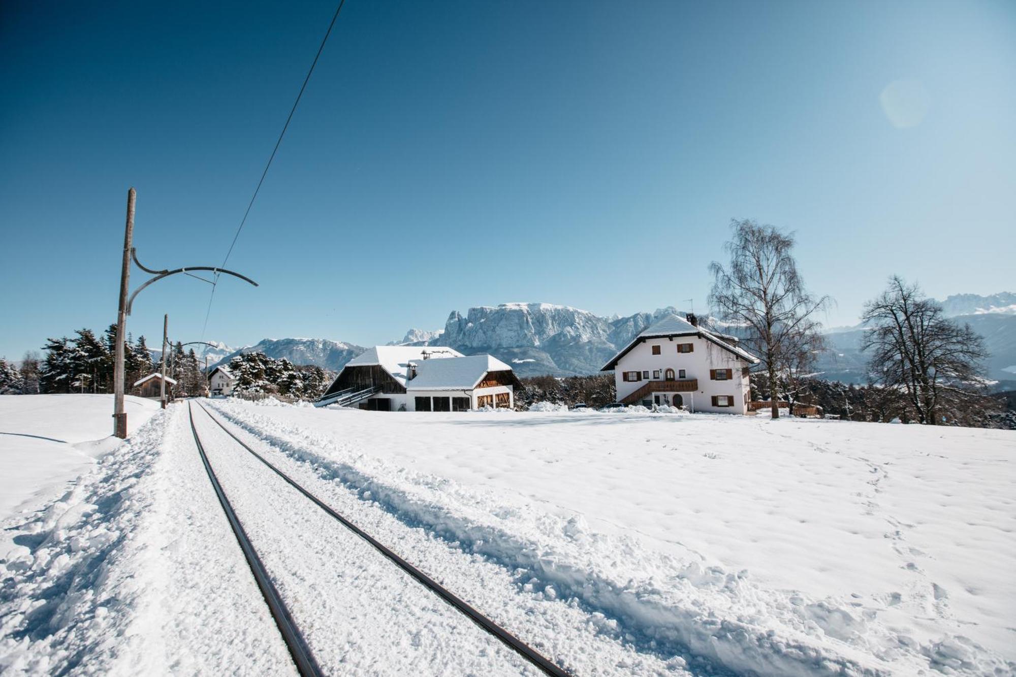 Alpin Farm Birke - Oberweidacherhof Collalbo Luaran gambar